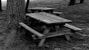 picnic-table